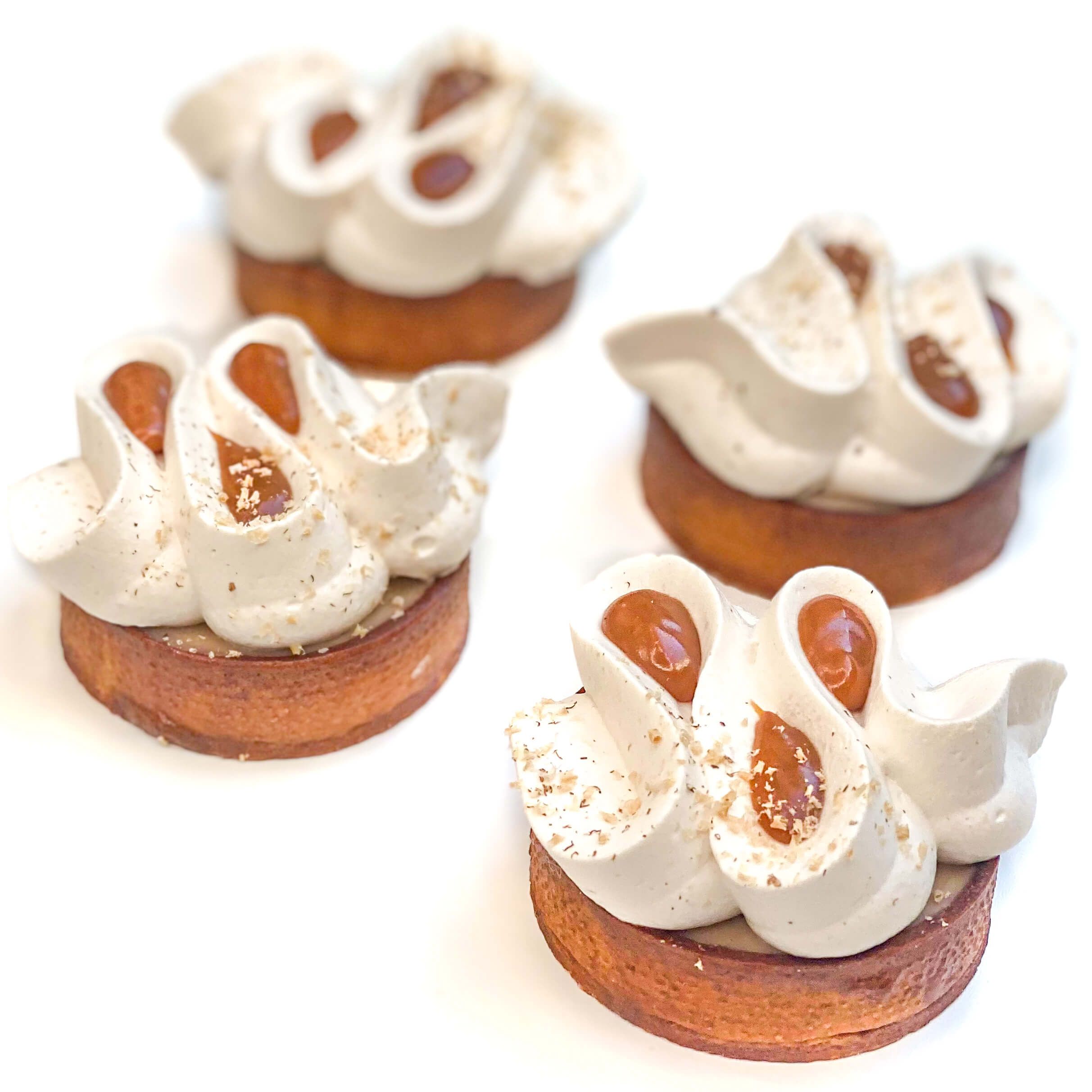 Odoo • Image et Texte